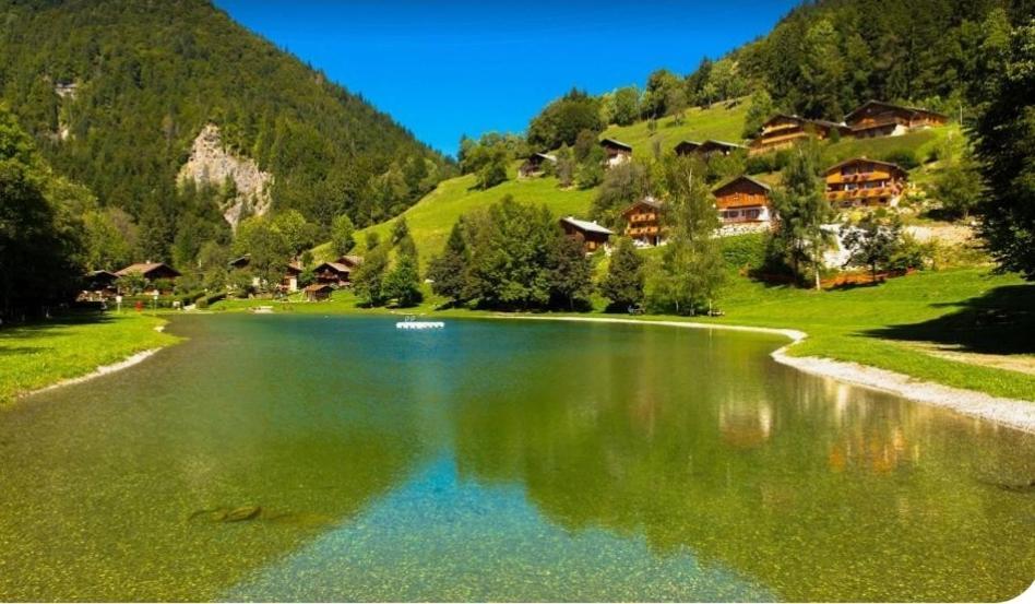 Le Du Val Apartment Flumet